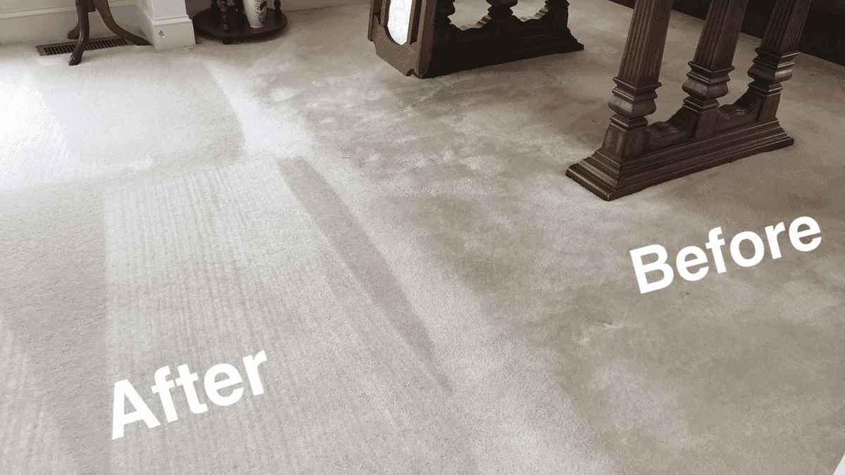 A Carpet Cleaning Visit That Meant More in Spring, Texas 77373