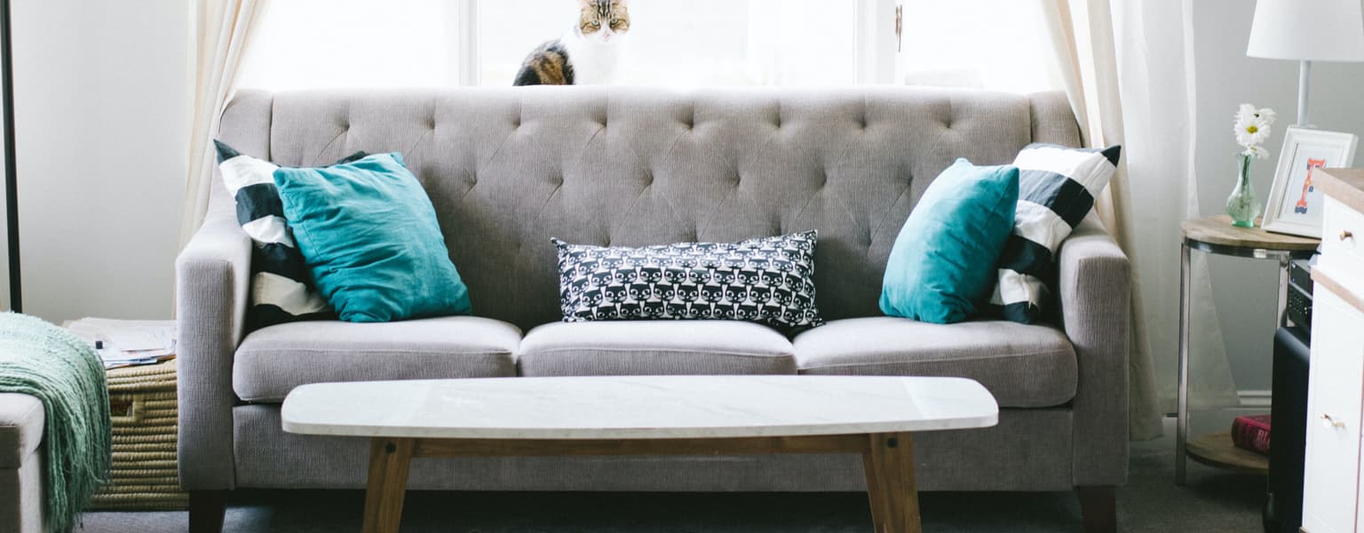 Upholstery Cleaning in Spring, TX